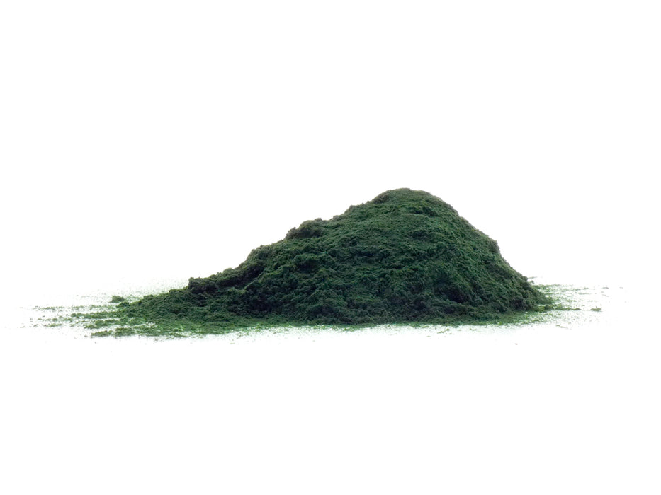 Organic Spirulina