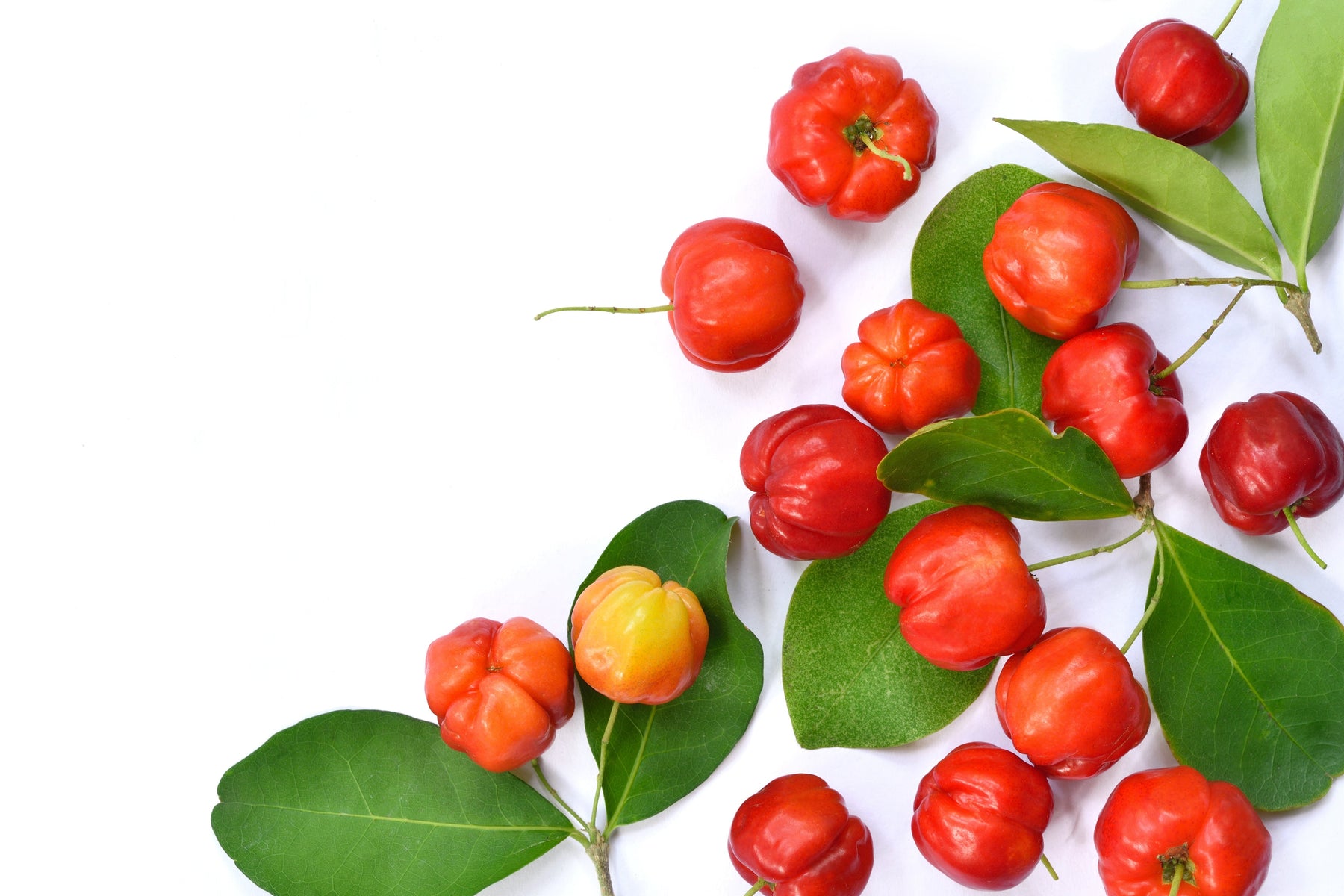 Acerola Cherry Powder: Nature’s Vitamin C Powerhouse