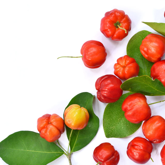 Acerola Cherry Powder: Nature’s Vitamin C Powerhouse